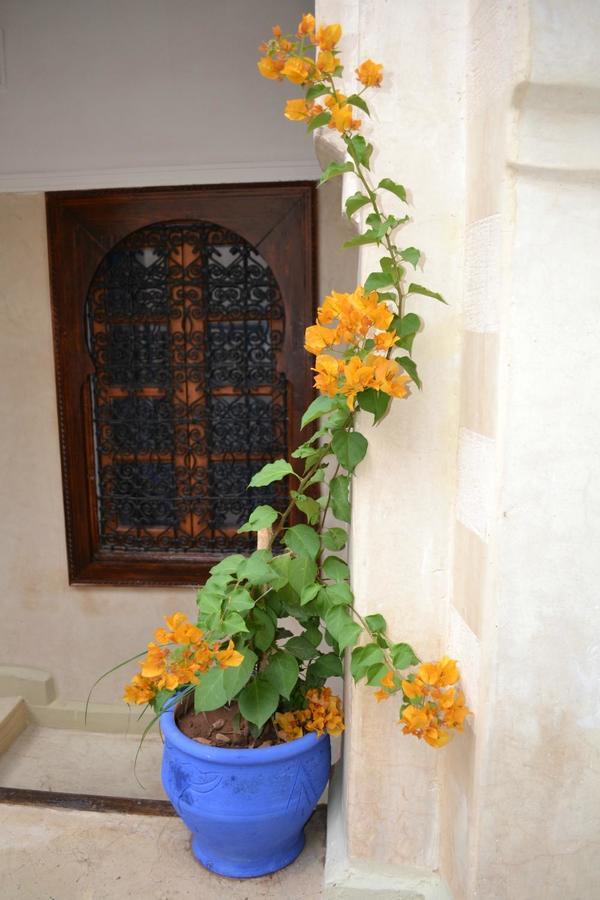 Riad Riva Marrakesh Exteriör bild